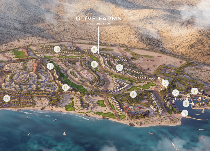 Olive Farms Jebel Sifah